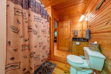 Sleeps 8, Unrestricted, wooded 7.21 acres & a solo private dock - photo 25