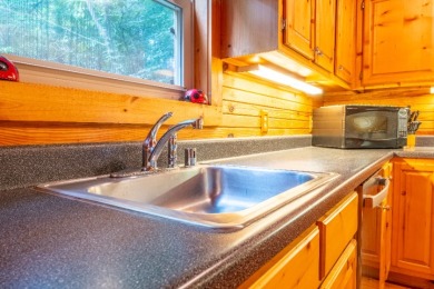 Sleeps 8, Unrestricted, wooded 7.21 acres & a solo private dock - photo 14