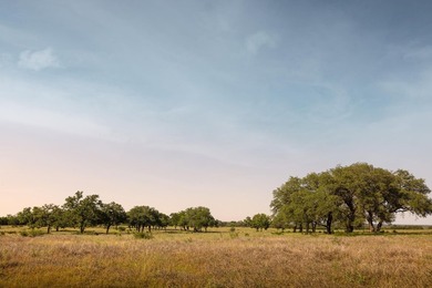 Discover an exceptional opportunity to own approximately 563 +/- - photo 11
