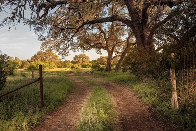 Discover an exceptional opportunity to own approximately 563 +/- - photo 14