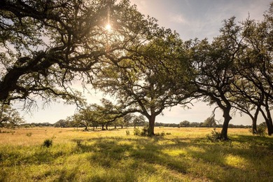 Discover an exceptional opportunity to own approximately 563 +/- - photo 15