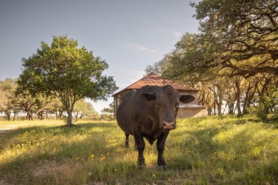 Discover an exceptional opportunity to own approximately 563 +/- - photo 27