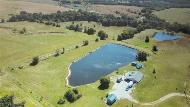 Lake Home For Sale in Curryville, Missouri