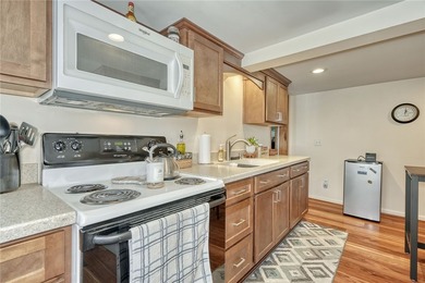 RARE FIND! AMAZING WEBSTER VILLAGE 2-FAMILY! METICULOUSLY - photo 29