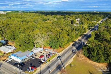 This 3.99-acre parcel presents a rare development opportunity in - photo 3