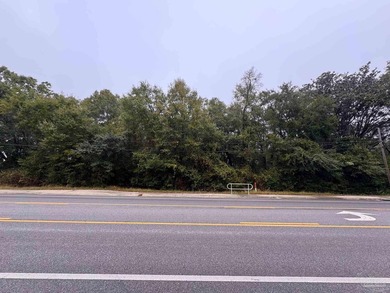 This 3.99-acre parcel presents a rare development opportunity in - photo 4