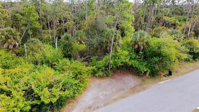 Port Charlotte Waterway Area Lot For Sale in Port Charlotte Florida