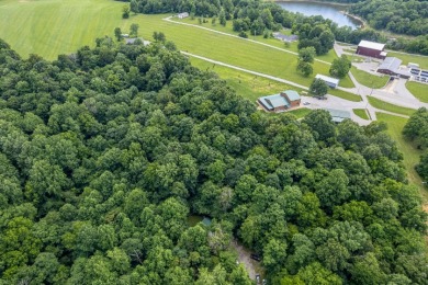 Sleeps 8, Unrestricted, wooded 7.21 acres & a solo private dock - photo 47