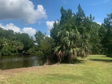 Lake Lot For Sale in Crawfordville, Florida