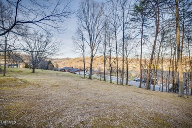Holston River - Hawkins County Lot For Sale in Church Hill Tennessee