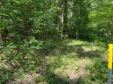 Moutardier Bay Waterfront 2.212 acre Lot with Boat Dock - photo 9