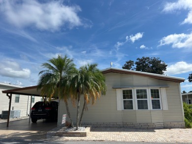Lake Home For Sale in Odessa, Florida
