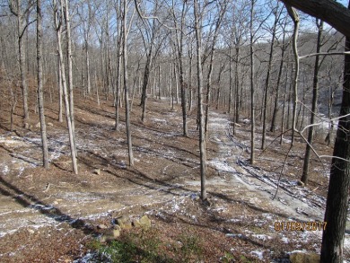 Moutardier Bay Waterfront 2.212 acre Lot with Boat Dock - photo 3