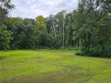 Howard Lake Acreage For Sale in Columbus Minnesota