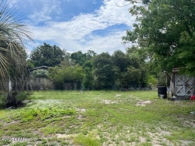 Powell Lake / Phillips Inlet Lot For Sale in Inlet Beach Florida
