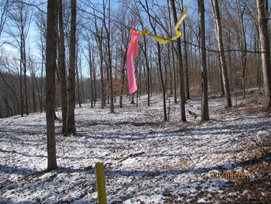 Moutardier Bay Waterfront 2.212 acre Lot with Boat Dock - photo 2