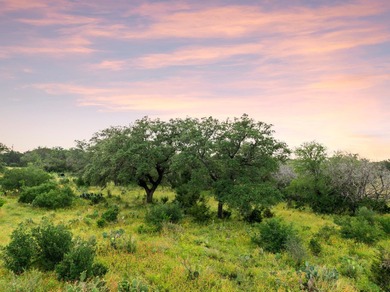 50 Acres at Muleshoe Bend! Large, undeveloped and unrestricted - photo 4