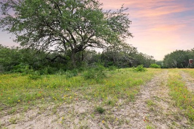 50 Acres at Muleshoe Bend! Large, undeveloped and unrestricted - photo 5