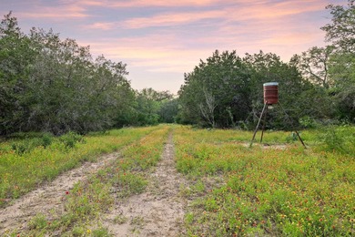 50 Acres at Muleshoe Bend! Large, undeveloped and unrestricted - photo 7