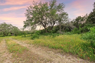 50 Acres at Muleshoe Bend! Large, undeveloped and unrestricted - photo 9