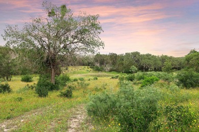50 Acres at Muleshoe Bend! Large, undeveloped and unrestricted - photo 10