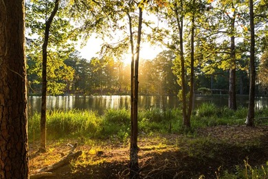 Lake Springs Ranch is the epitome of a true East Texas - photo 12