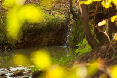 Lake Springs Ranch is the epitome of a true East Texas - photo 16