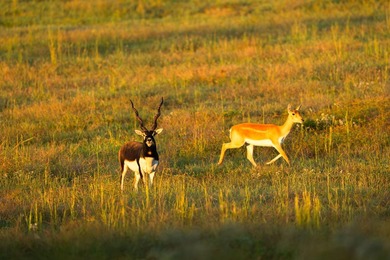 Lake Springs Ranch is the epitome of a true East Texas - photo 17