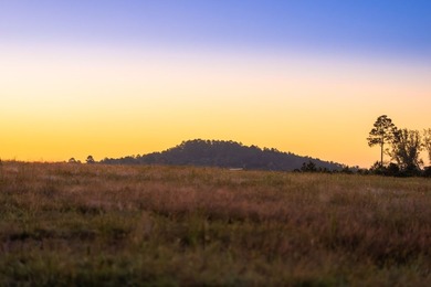 Lake Springs Ranch is the epitome of a true East Texas - photo 20