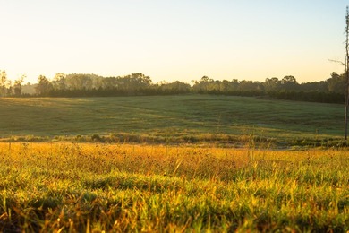 Lake Springs Ranch is the epitome of a true East Texas - photo 34
