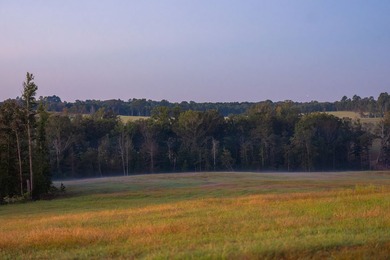 Lake Springs Ranch is the epitome of a true East Texas - photo 35