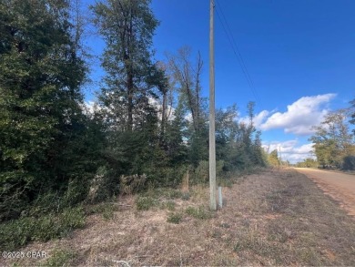Compass Lake Lot For Sale in Alford Florida
