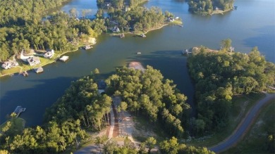 Lake Lot For Sale in Jacksons Gap, Alabama