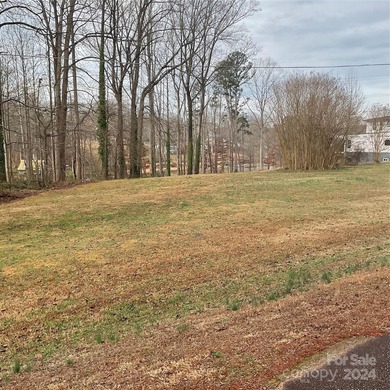 New offering of gated access waterfront cove lot on Lake Norman - photo 13