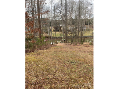 New offering of gated access waterfront cove lot on Lake Norman - photo 15