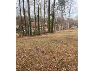 New offering of gated access waterfront cove lot on Lake Norman - photo 16