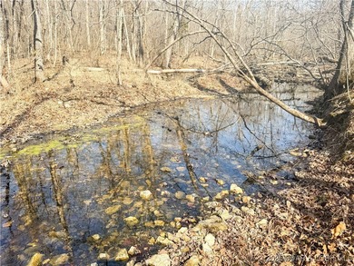 Lake Acreage For Sale in Barnett, Missouri