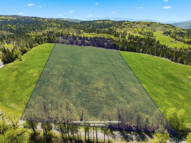 New price! Note more acreage available if you want to purchase - photo 1