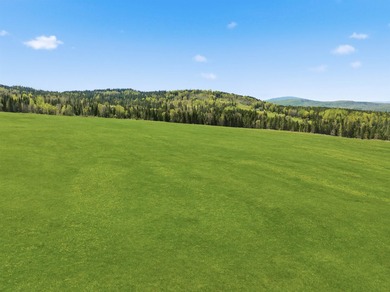 New price! Note more acreage available if you want to purchase - photo 2