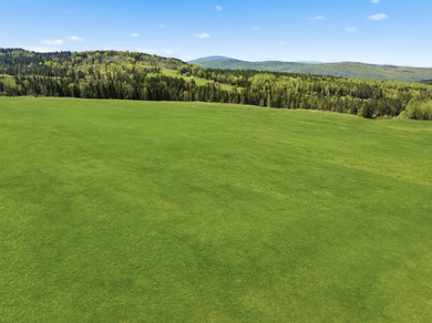 New price! Note more acreage available if you want to purchase - photo 4