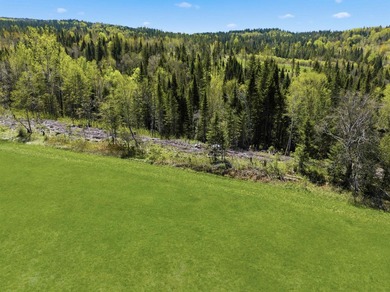 New price! Note more acreage available if you want to purchase - photo 9