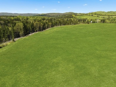 New price! Note more acreage available if you want to purchase - photo 10