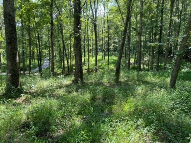 Moutardier Bay Waterfront 2.212 acre Lot with Boat Dock - photo 10