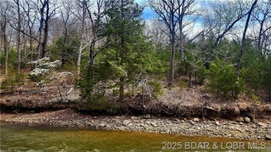 Lake Lot For Sale in Gravois Mills, Missouri
