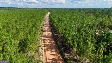 (private lake, pond, creek) Acreage For Sale in Baxley Georgia