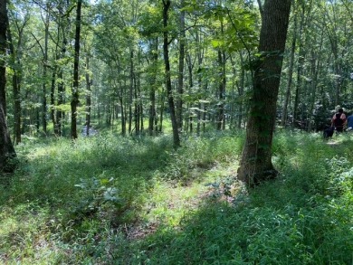 Moutardier Bay Waterfront 2.212 acre Lot with Boat Dock - photo 6