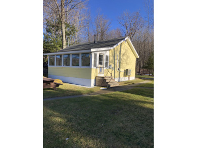 Lake Home For Sale in Tinmouth, Vermont