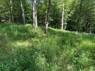 Moutardier Bay Waterfront 2.212 acre Lot with Boat Dock - photo 7