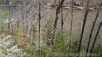 Are you ready to build your dream lake home? This prime piece of - photo 11