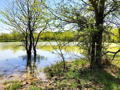 127+/- Acres of Prime Pastureland with Creek Frontage & Abundant - photo 4